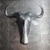Wildebeest Trophy Head