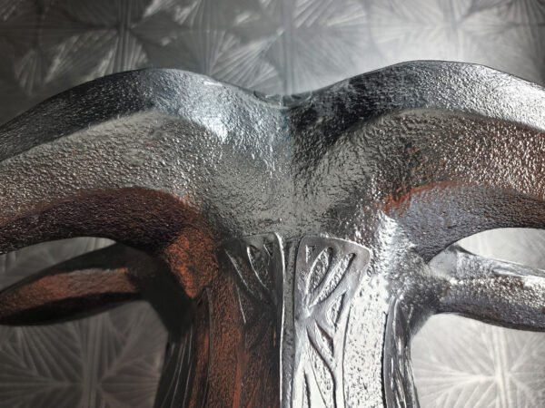 Wildebeest Trophy Head