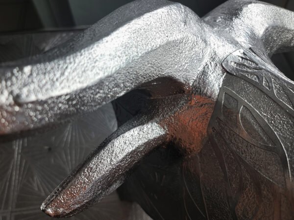 Wildebeest Trophy Head