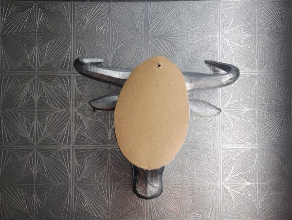 Wildebeest Trophy Head