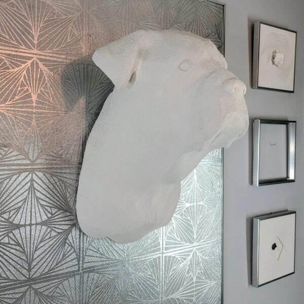 Bullmastiff head mount (5) The Bullmastiff: "The Guardian"