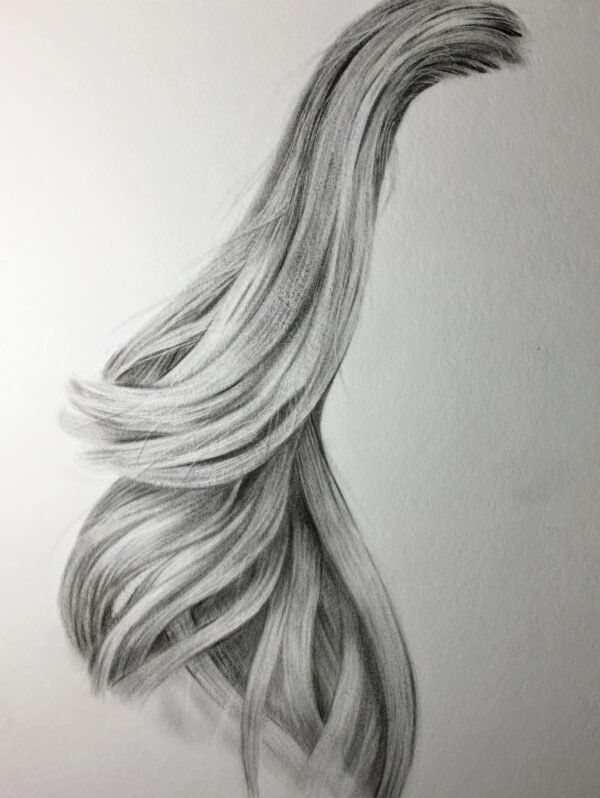 Hair Study (2) Hair Study