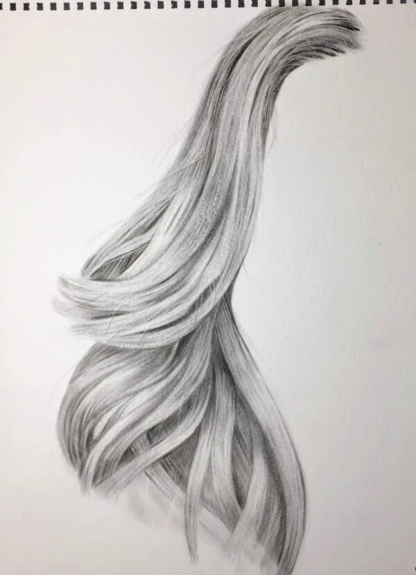 Hair Study Hair Study