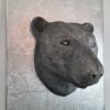 BEAR HEAD MOUNT