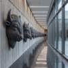 The Bison: A Monument of Endurance