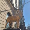 THE SENTINEL: Elk Head Mount (A Boulevard East Initiative)