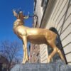 THE SENTINEL: Elk Head Mount (A Boulevard East Initiative)