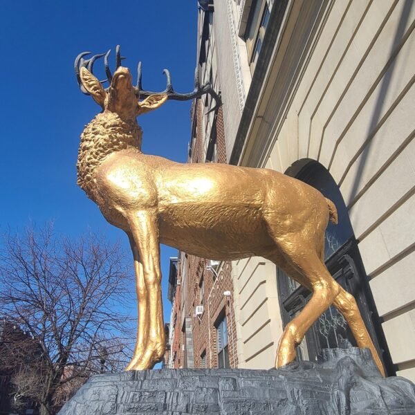 THE SENTINEL: Elk Head Mount (A Boulevard East Initiative)