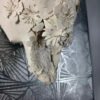 BULL 3D FLOWER WHITE POSTERBOARD (7) 3D Bull Skull with Floral Overlay: The Alchemical Bloom